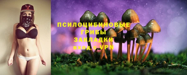 прущая мука Богданович