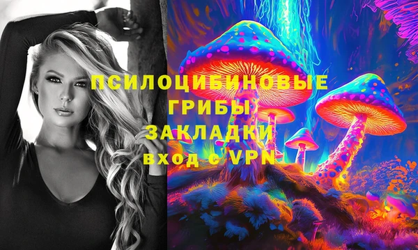 шишки Богородицк