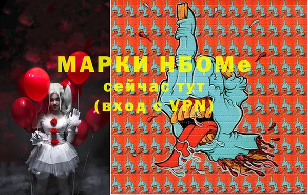 шишки Богородицк