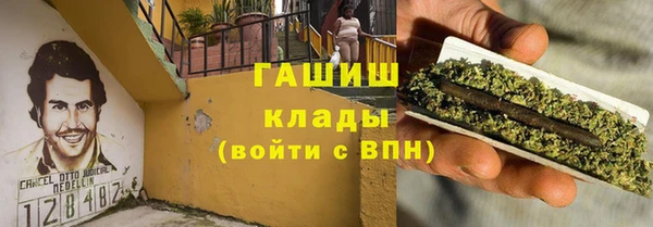 шишки Богородицк