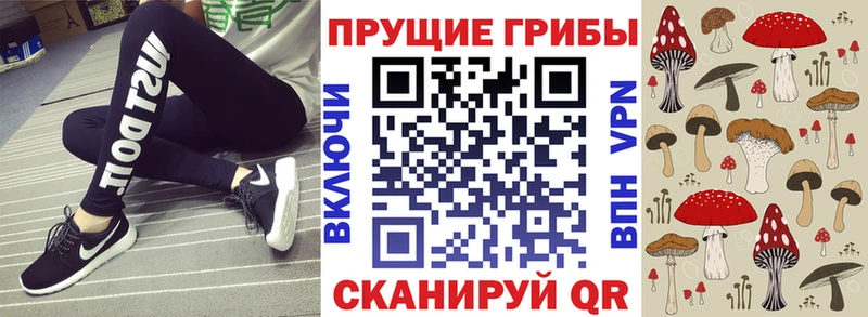 blacksprut как зайти Кондрово Псилоцибиновые грибы Psilocybe
