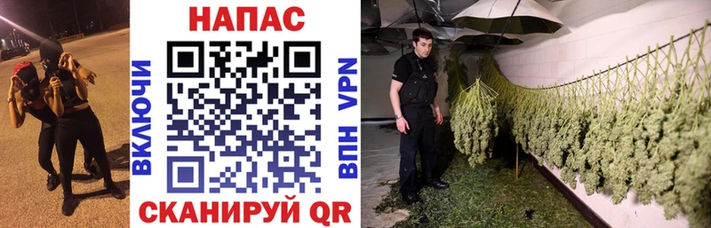 Марихуана тримм  Кондрово 